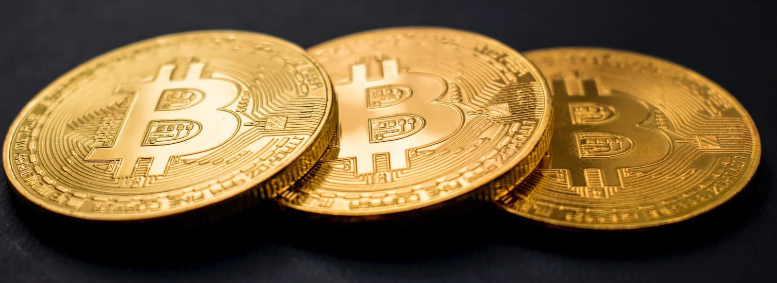 Who has highest bitcoins